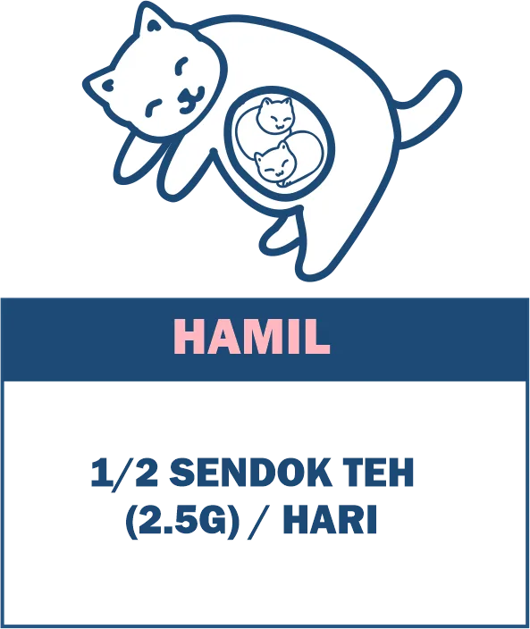 Brand Collab GH Vitamin
